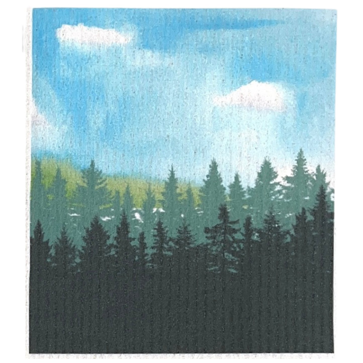 Swedish Dishcloth Outdoor LIfe BUY 3 Get 1 & FREE shipping