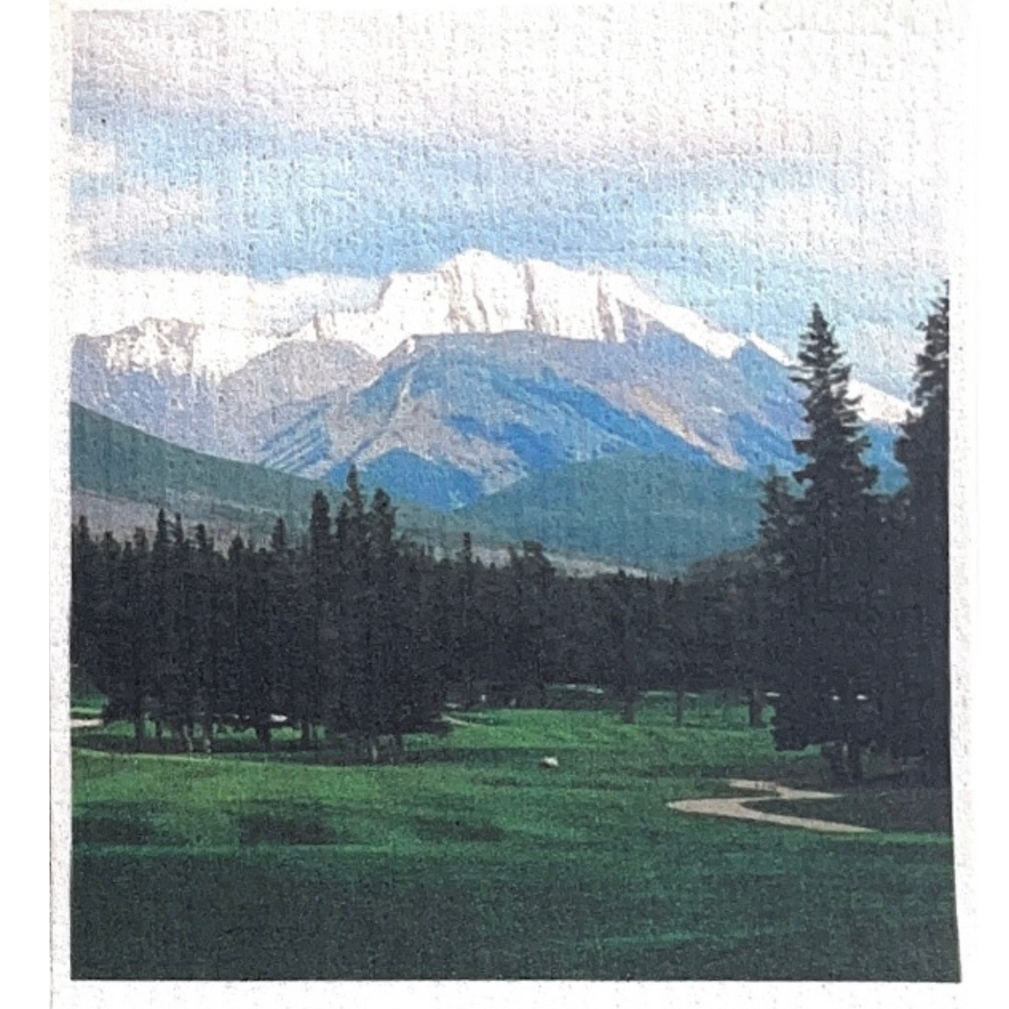 Swedish Dishcloth Outdoor LIfe BUY 3 Get 1 & FREE shipping