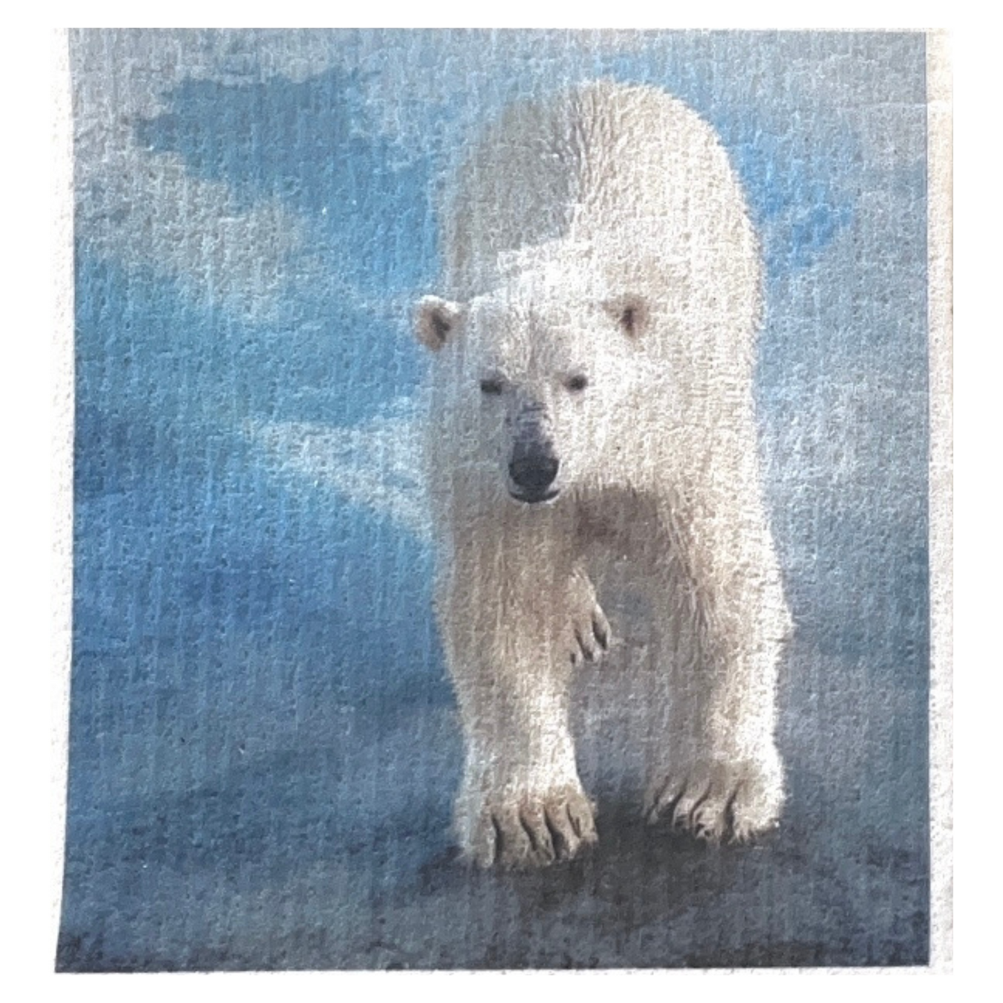 Swedish Dishcloth Wildlife Animals BUY 3 Get 1 & FREE shipping