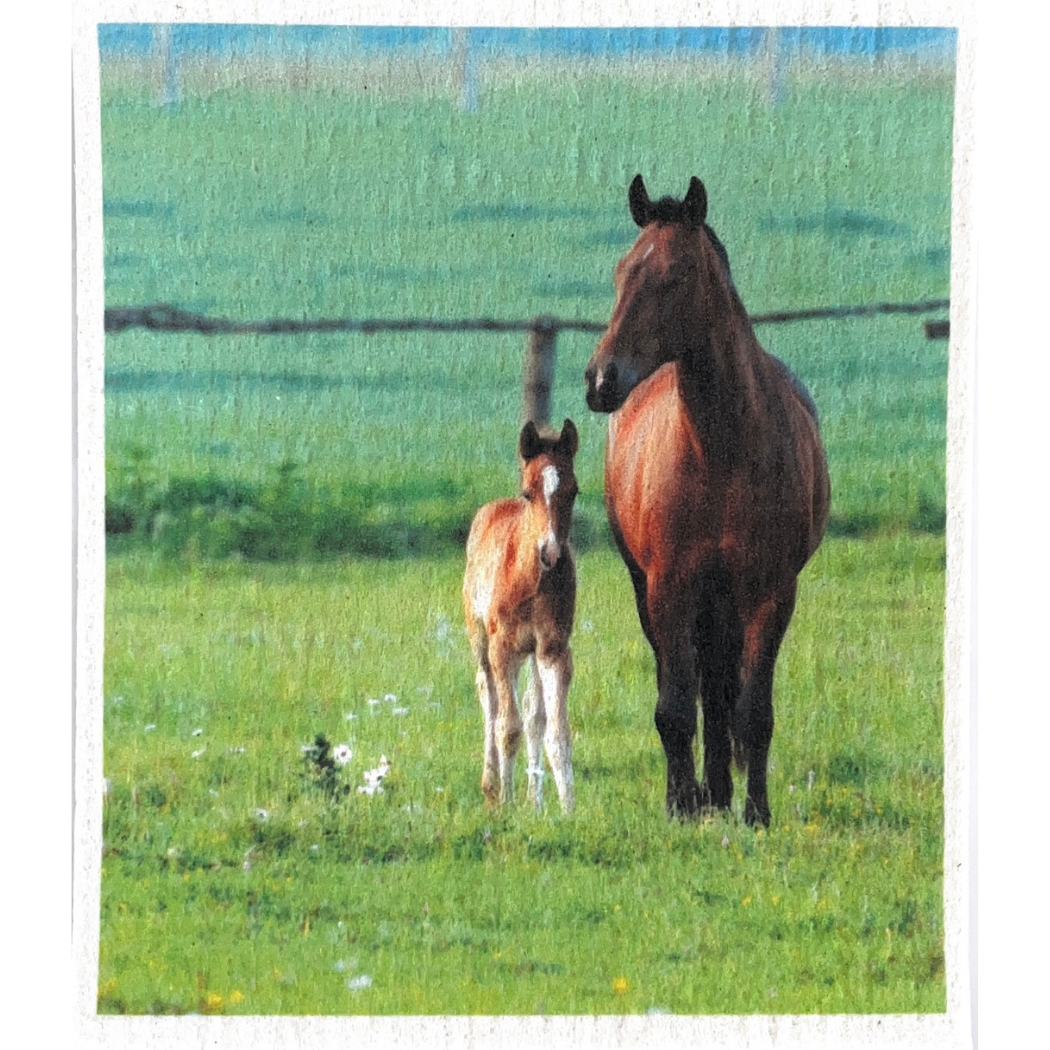 Swedish Dishcloth Wildlife Animals BUY 3 Get 1 & FREE shipping