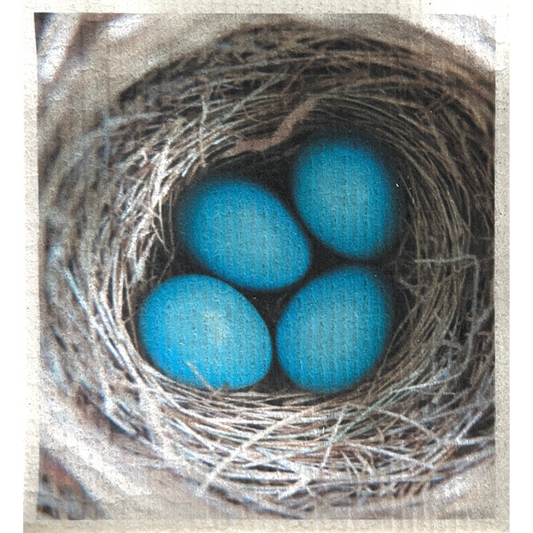 Swedish Dishcloth Birds BUNDLE & SAVE | 6 for $30