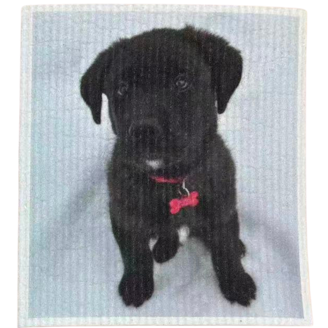 Swedish Dishcloth Canine & Feline Friends BUNDLE & SAVE | 6 for $30