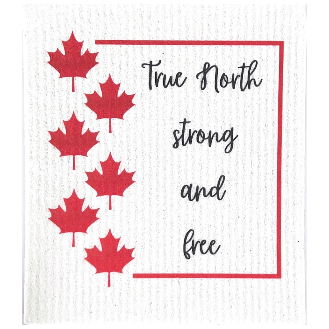 Swedish Dishcloth Travel | Destinations BUY 3 Get 1 & FREE shipping